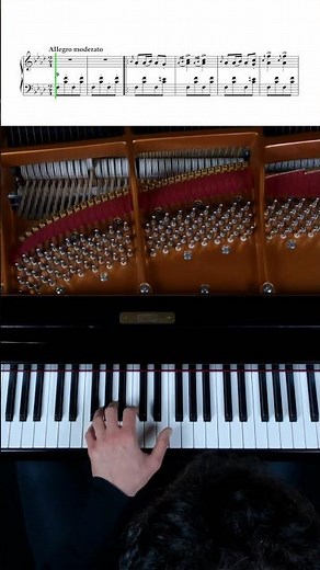 Schubert: Moment Musicaux No.3 in F minor #schubert #fminor #franzschubert