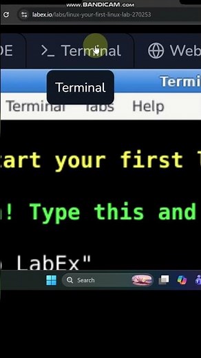 Learn Linux, Python & Docker the Fun Way #Shorts