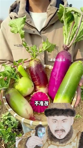 Maximize Veggie Harvest: The Secret of Crop Rotation Explained