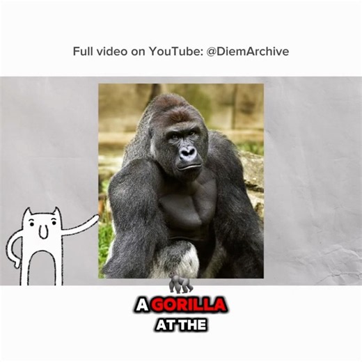 harambe | ‪@DIEMARCHIVE‬ #memes #funny #animation