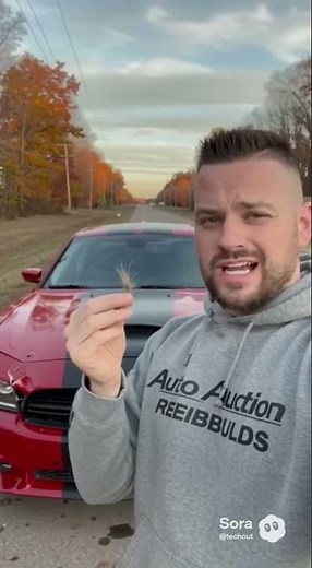 Auto Auction Rebuilds Smashes 2012 Dodge Charger Hitting Deer #Wrecked #Deer #autoauctionrebuilds