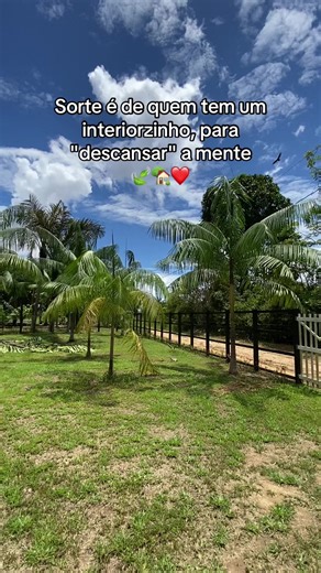 Os vídeos de marlinara_faba (@marlinara_faba) com som original - Isadora