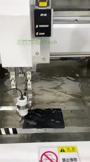 Water Immersion Ultrasonic Scanning Microscope Inspection System