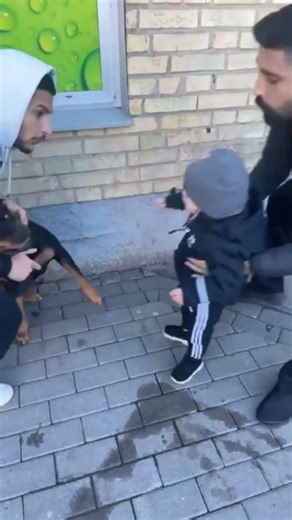 Cats stare at walls like they see ghosts 🤔😜 #viral #Funny #cat #fyp #funnyvideos