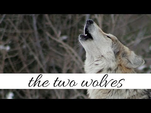 The Two Wolves | A Native American Legend