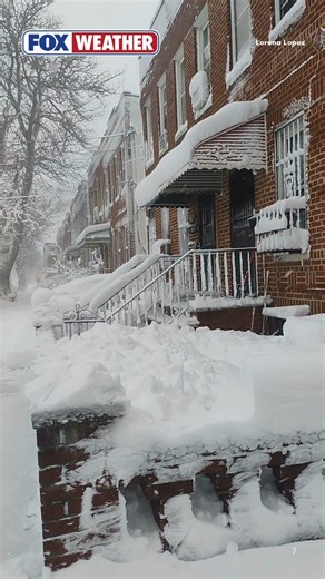 SNOWY PARADISE ☃️: Brooklyn, New York, has turned into a tundra as thick snow covers the city. Parts of Brooklyn received up to 22 inches of snow after the historic storm blew through the region. | FOX Weather