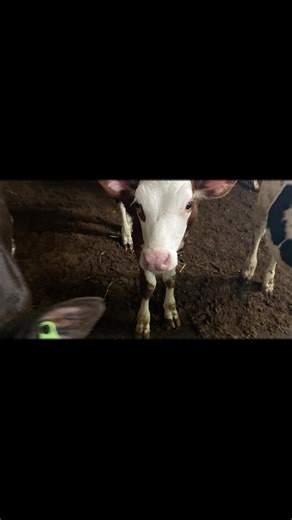 John Deere G (@appleuser3685536)’s videos with original sound - Spencer Greenhalgh