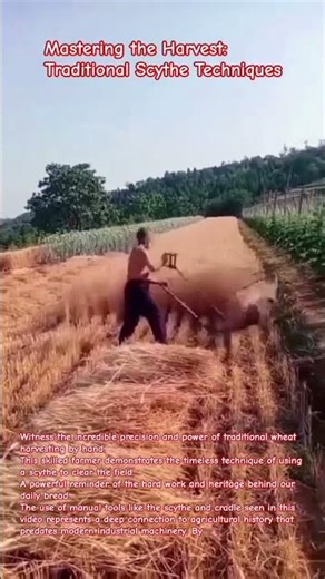 Mastering the Harvest: Traditional Scythe Techniques