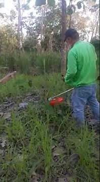 DESBROZADORA FORESTAL 545FR HUSQVARNA