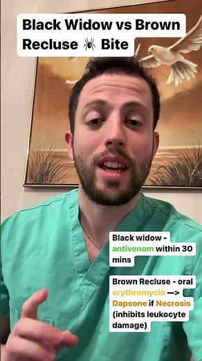 Black Widow vs Brown Recluse - USMLE Step 1 / Step 2 CK