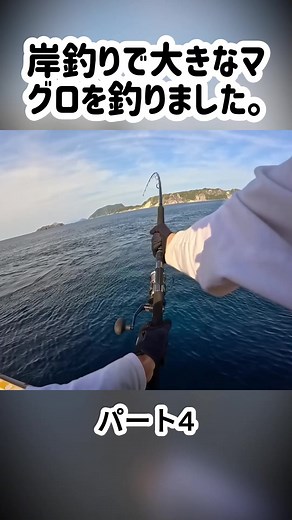 岸釣りでの大きなマグロ釣り体験