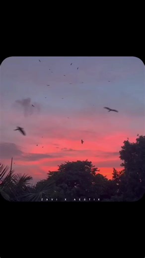 Tu ati ha seena ma - Lyrics Video