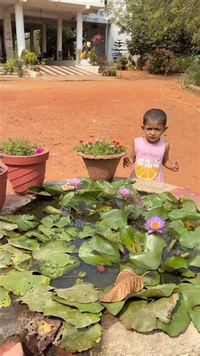 Last Train Theory 🚆 | Life Lesson in 30 Seconds