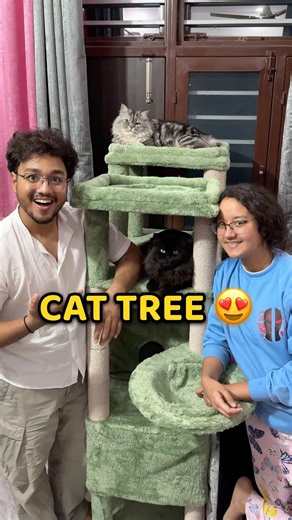 6 Floor Ka Cat Tree 😍 #shorts #vlog #minivlog #cat