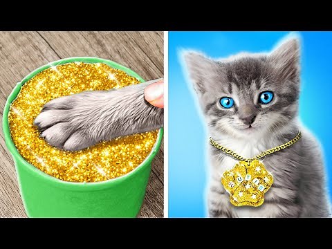 Cutest Crafts to Make With Your Pet 🐾 Smart Hacks for Pet Owners