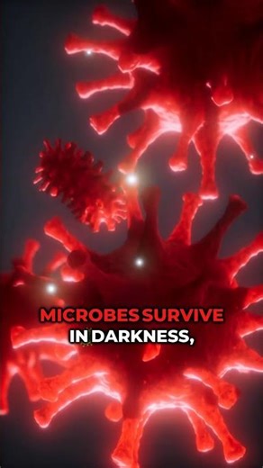 MIND-BLOWING Facts About Ice-Free Antarctica