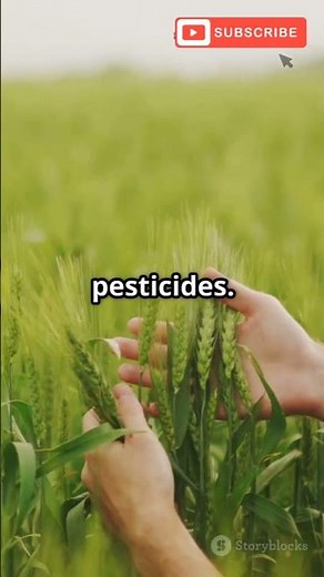 Trichoderma harzianum: Nature’s fungus that defends plants! 🌱🛡️ #PlantProtector #Biocontrol