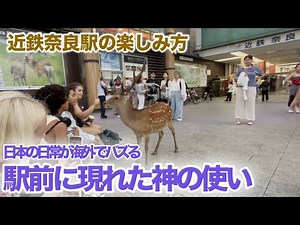 近鉄奈良駅の楽しみ方 日本の日常が海外でバズる理由。駅前に現れた神の使い」