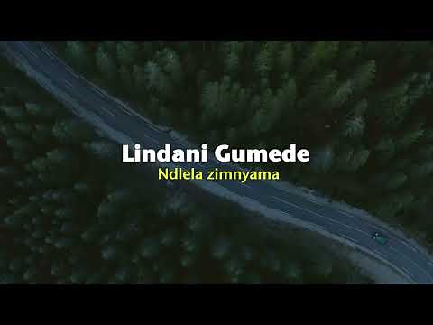 Lindani Gumede - Ndlela zimnyama (Official Lyric Video)