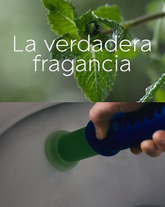 Nuevo Glade Adhesivo, limpian y refrescan tu baño hasta por 7 semanas. | Glade