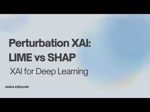 Perturbation XAI: LIME vs SHAP