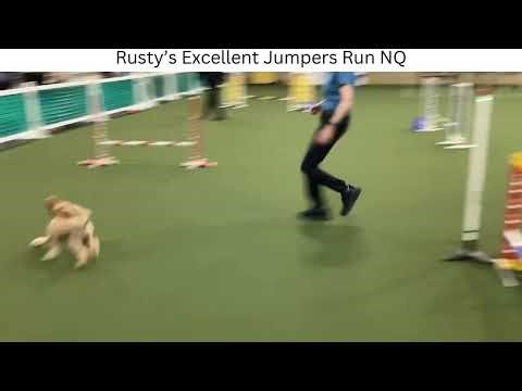 2025 9 14 Rusty runs agility