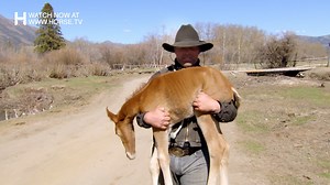 762 reactions · 166 shares | In the pristine wilderness of the Nemiah...