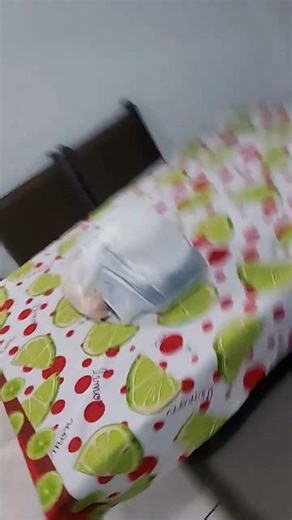 1° dia editando coisas aleatórias;-; #naofloppa