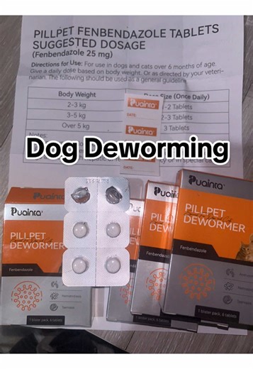 Effective Deworming Solutions for Dogs and Cats