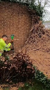 #abandoned #lawn #cleanup #cleaningmotivation #clean #overgrown #transformation #satisfying #mowing | Lawn Care Reel