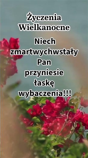 Przebaczenie i Pojednanie 🕊️🤝❤️, #Wybaczenie #Pokoj #Wielkanoc #easter