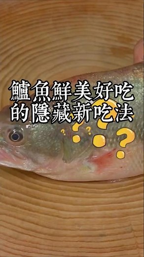 買回來的鱸魚不要只會清蒸了，其實他還有一個更加鮮美無比的隱藏做法，真的超好吃，趕快學起來 #美食教程 #美食 #鱸魚新吃法