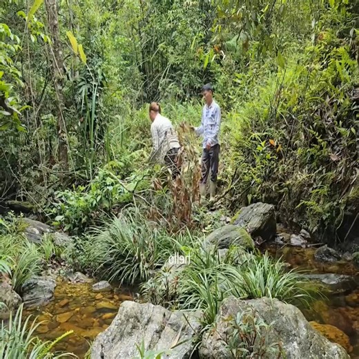 54K views · 249 reactions | Thai Mom on Reels | Facebook