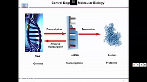 PCR基础知识培训