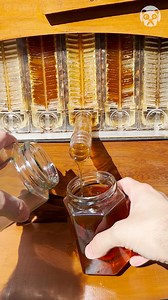 682K views · 2.6K reactions | Celebrating the changing seasons with honey harvest Partner: flowhive_official | Crafty Panda | Facebook