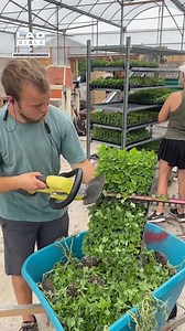 This is the most satisfying thing I've seen in ages 🌱🤖 | LADbible