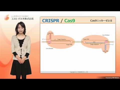 ゲノム編集とCRISPR/Cas9が8分でよくわかる動画
