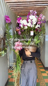 3.1K views · 29 reactions | LA QUE SABE, SABE  En Orquídeas SyM tenemos el detalle perfecto para cada ocasión ✨ Visítanos en: 14 calle 8-13 zona 10 Kiosco Cemaco Cayalá Kiosco Plaza Madero Próceres Pide a domicilio: WhatsApp 4278-6156 orquideassym.com #orquideassym #orquideasguatemala #flores | Orquídeas SyM | Facebook