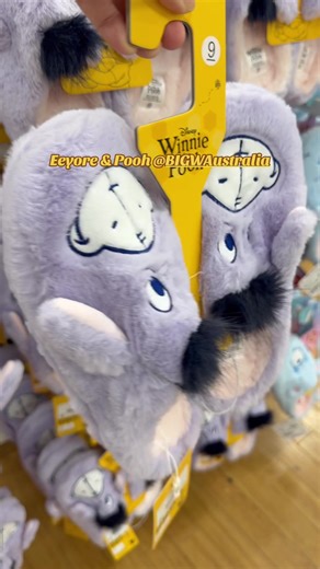 Eeyore and Pooh House Slippers at BIG W Australia