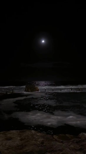 1am Rock Pool Swim Experience with High Tide