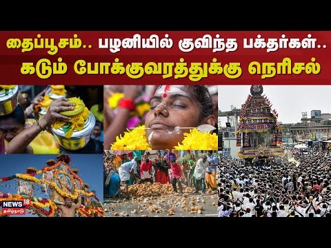 Thaipusam | தைப்பூசத்தையொட்டி பழனியில் குவிந்துள்ள பக்தர்கள்.. கடும் போக்குவரத்துக்கு நெரிசல்