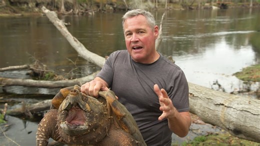 Wildlife Nation is back and better than ever! Join Jeff Corwin and the Miccosukee Tribe of Indians of Florida on an unforgettable adventure through the unique ecosystems of Florida as they encounter amazing creatures and important conservation challenges! Watch new episodes weekends on your local ABC stations - check local listings! 📺 | Wildlife Nation