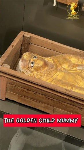 The Golden Child Mummy /egyptain museum #ancientegypt #pyramidsofegypt #egyptianmuseum