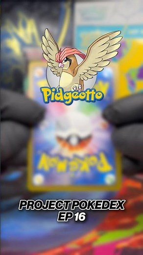 PROJECT POKÉDEX 📖 Completing the Pokédex one card at a time… From common to rare.✨
