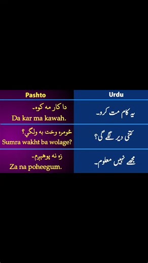 Learn pashto With Negar on TikTok