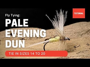 PALE EVENING DUN fly pattern