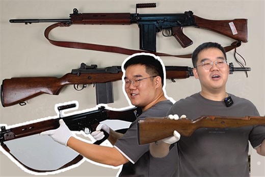 名枪对决：异父异母的亲兄弟，听晓枪老王对比美国M14与比利时FAL谁更优秀！
