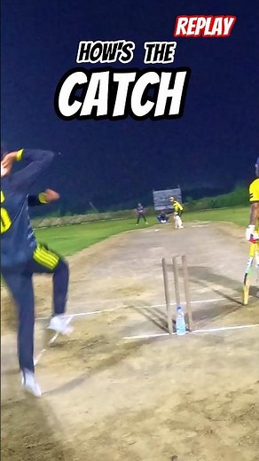Brilliant! Cricket CATCH 😱 #cricket #shots #shorts