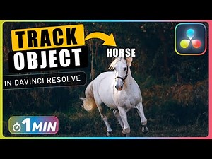 How to TRACK MOVING OBJECTS with Fusion in Davinci Resolve