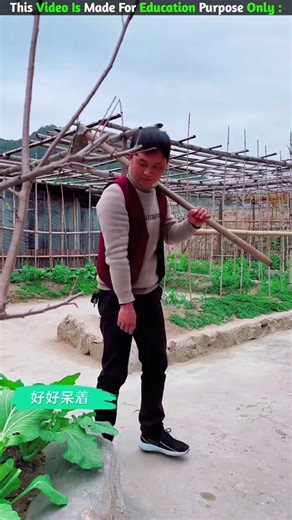 The Rabbit 😨| New Viral Gadgets,Smart Appliances, Kitchen Utensils/ Home Inventions